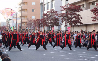 日本医療科学大学よさこいサークル 日本医療連<br>
<span class="ls80 fs80">( にほんいりょうかがくだいがく よさこいさーくる にほんいりょうれん )</span> 日本医療科学大学よさこいサークル 日本医療連 ( にほんいりょうかがくだいがく よさこいさーくる にほんいりょうれん )