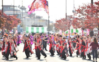 日本医療科学大学よさこいサークル 日本医療連<br>
<span class="ls80 fs80">( にほんいりょうかがくだいがく よさこいさーくる にほんいりょうれん )</span> 日本医療科学大学よさこいサークル 日本医療連 ( にほんいりょうかがくだいがく よさこいさーくる にほんいりょうれん )