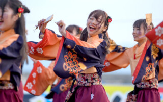 実践女子大学同短期大学部YOSAKOIソーラン部 WING<br>
<span class="ls80 fs80">( じっせんじょしだいがく どうたんきだいがくぶ よさこいそーらんぶ うぃんぐ )</span> 実践女子大学同短期大学部YOSAKOIソーラン部 WING ( じっせんじょしだいがく どうたんきだいがくぶ よさこいそーらんぶ うぃんぐ )